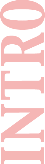 INTRO