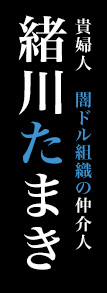 緒川たまき